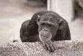 affe00002 affe00002