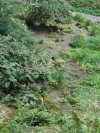 CIMG0309