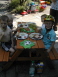 DSCN2746