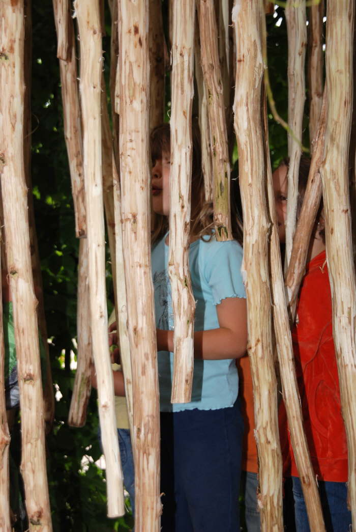 DSC_2505