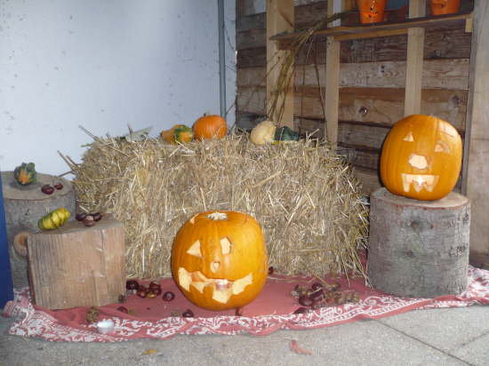 Herbstlichkeit