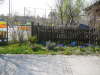 P1010071