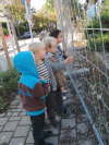 schotter wegrumen (2)