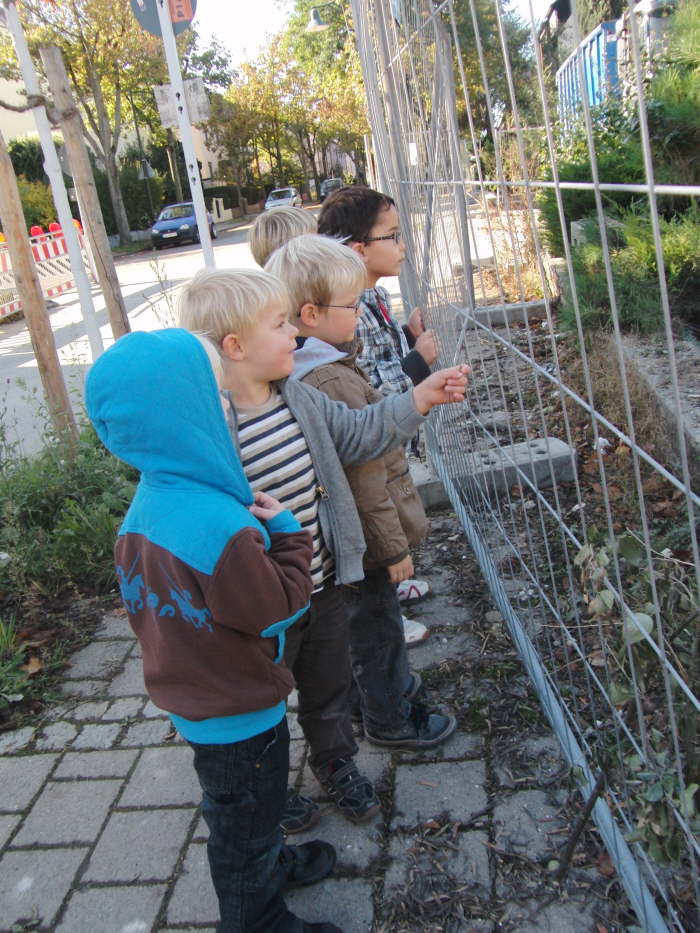 schotter wegrumen (2)